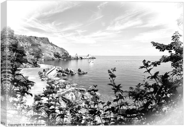 Anstey's Cove through the trees in Torquay in Black and White Canvas Print by Rosie Spooner