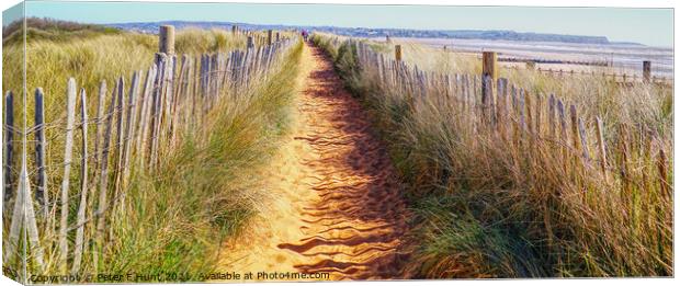 Path Through The Dunes Canvas Print by Peter F Hunt