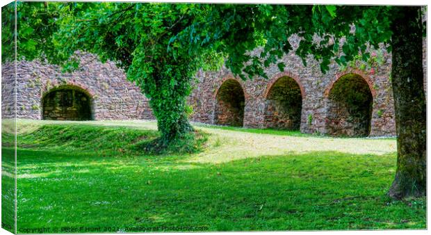 Tiverton Lime Kilns Canvas Print by Peter F Hunt