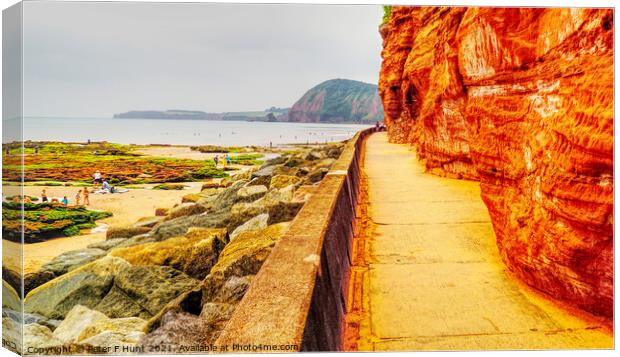 Cliff Walkway Sidmouth Canvas Print by Peter F Hunt