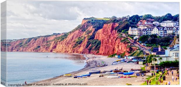 The Red Cliffs Of Budleigh Salterton  Canvas Print by Peter F Hunt