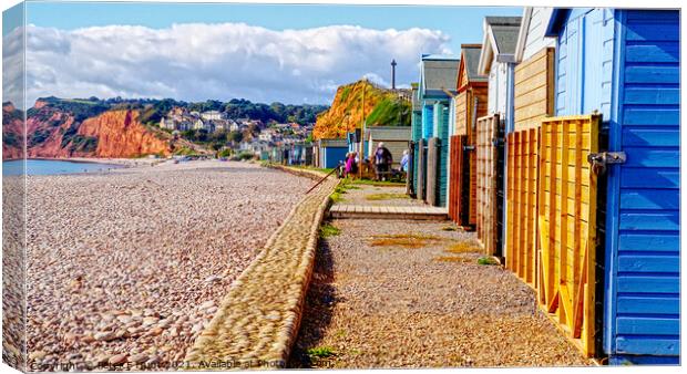 Budleigh Salterton Beach Huts Canvas Print by Peter F Hunt