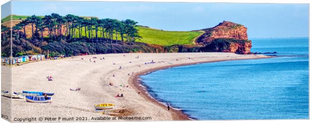 The Curve Of The Beach Budleigh Salterton Canvas Print by Peter F Hunt