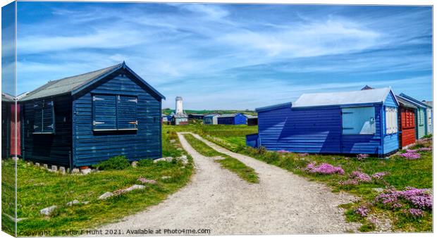 Portland Bill Huts And Lower Lighthouse Canvas Print by Peter F Hunt