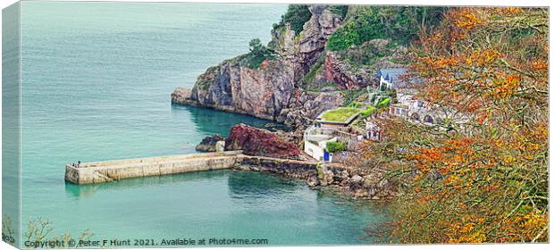 The Cary Arms From Babbacombe Downs Canvas Print by Peter F Hunt