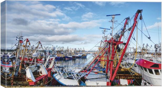 The Fishing Fleet Is In  Canvas Print by Peter F Hunt