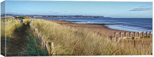 View Over The Dunes Dawlish Warren Canvas Print by Peter F Hunt
