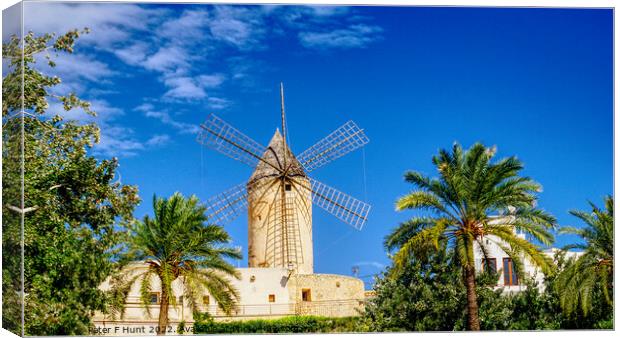 Waterfront Windmill Palma Mallorca Canvas Print by Peter F Hunt