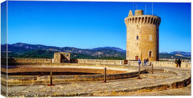 Castle With A View Canvas Print by Peter F Hunt