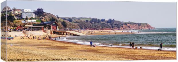 Exmouth On The Jurassic Coast Canvas Print by Peter F Hunt