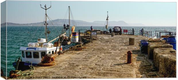 A Working Quay Lyme Regis Canvas Print by Peter F Hunt