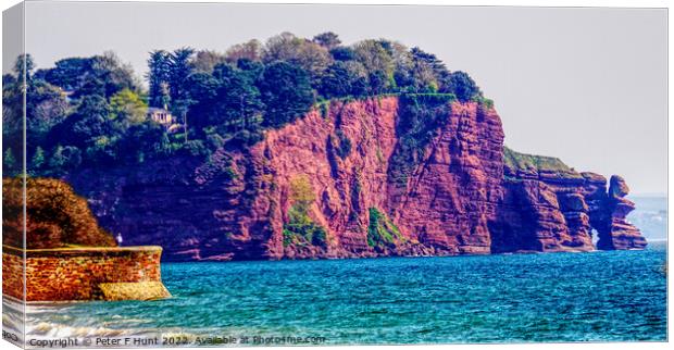 The Red Cliffs Of Teignmouth Canvas Print by Peter F Hunt