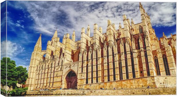 The Magnificent Cathedral Palma Mallorca Canvas Print by Peter F Hunt