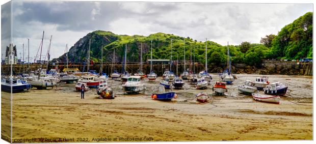 Ilfracombe Harbour From The Beach Canvas Print by Peter F Hunt