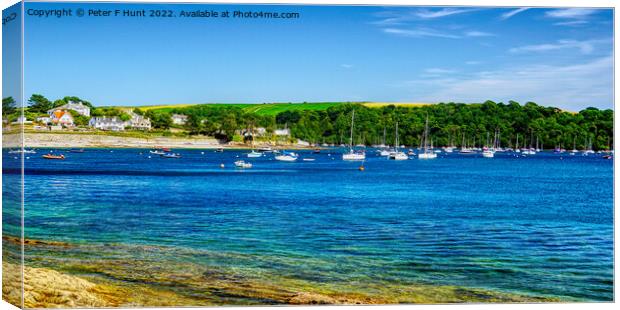St Mawes On A Summers Day  Canvas Print by Peter F Hunt