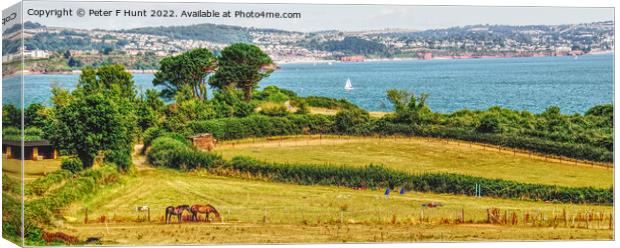 Rural Devon Looking Over Torbay Canvas Print by Peter F Hunt