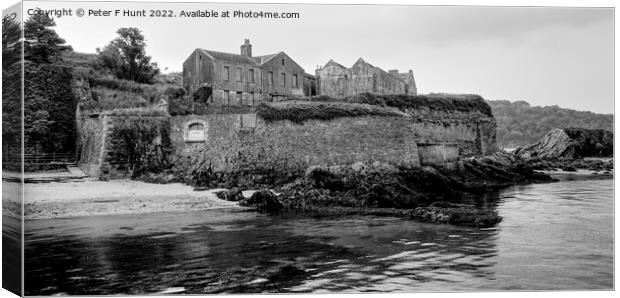 Drakes Island Plymouth 3 Canvas Print by Peter F Hunt