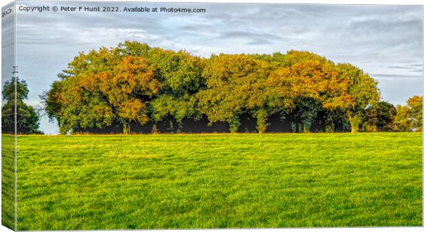 Epsom Downs Trees Canvas Print by Peter F Hunt