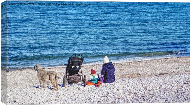 Enjoying The Winter Sun Canvas Print by Peter F Hunt