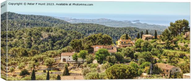 A View From  Galilea Canvas Print by Peter F Hunt