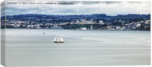 TS Royalist In Torbay Canvas Print by Peter F Hunt