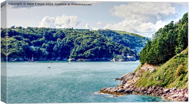 The River Dart Estuary Canvas Print by Peter F Hunt