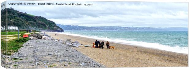 The Beach At Beesands South Devon Canvas Print by Peter F Hunt