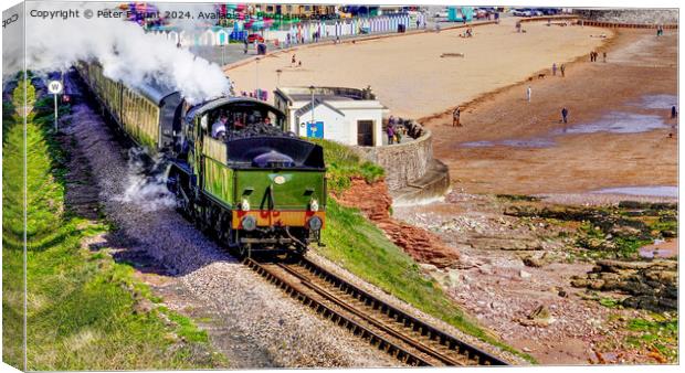 Steam Train Passing Goodrington Beach Canvas Print by Peter F Hunt