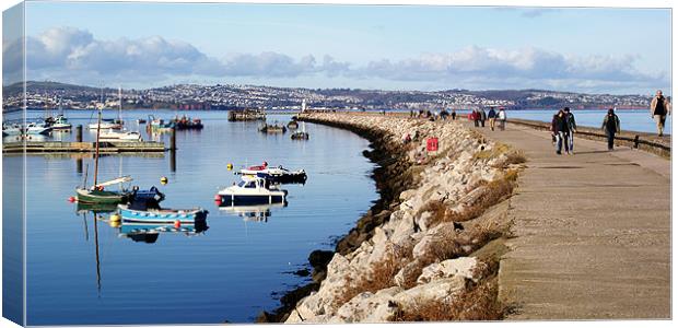 Brixham Harbour and Breakwater Canvas Print by Peter F Hunt