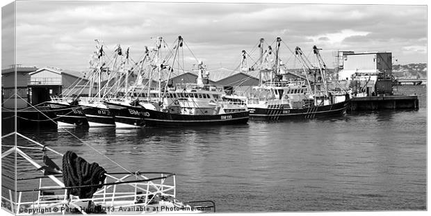 Brixham Trawlers in Port Canvas Print by Peter F Hunt