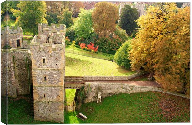 A View From The Castle Canvas Print by Peter F Hunt