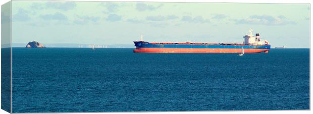 At Anchor in Torbay Canvas Print by Peter F Hunt