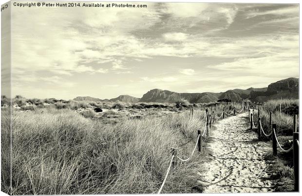 A Walk Through The Dunes Canvas Print by Peter F Hunt