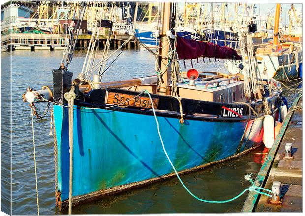 Sea Fish of Kings Lynn Canvas Print by Peter F Hunt