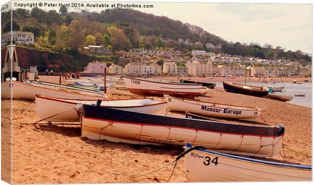 Teignmouth and Shaldon Devon Canvas Print by Peter F Hunt