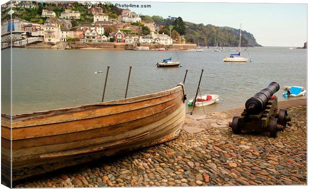 Guarding The River Dart Canvas Print by Peter F Hunt