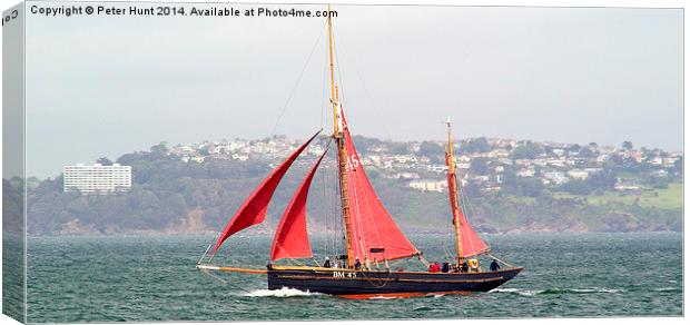 Brixham Sailing Trawler Pilgrim Racing Canvas Print by Peter F Hunt