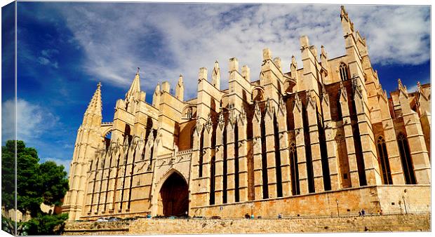  Palma Cathedral Mallorca Canvas Print by Peter F Hunt