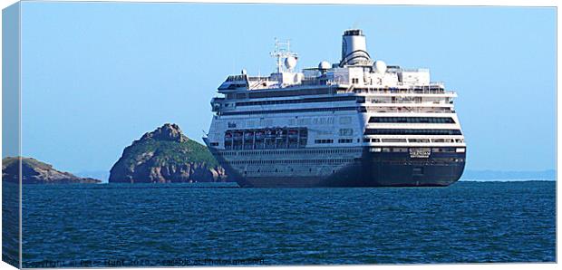 Cruise Ship Volendam Canvas Print by Peter F Hunt