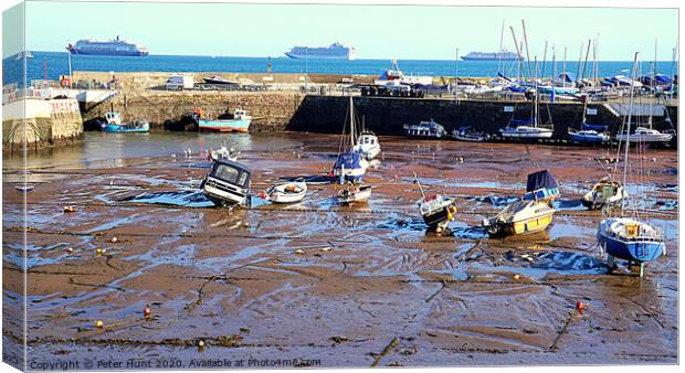 Paignton Harbour Devon  Canvas Print by Peter F Hunt