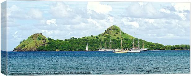 Pigeon Island St Lucia Canvas Print by Peter F Hunt
