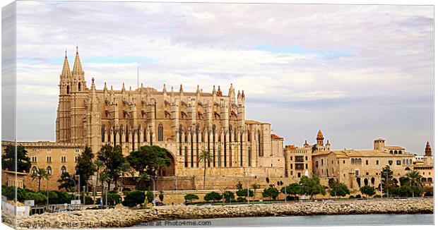 Mallorca Palma Cathedral Canvas Print by Peter F Hunt
