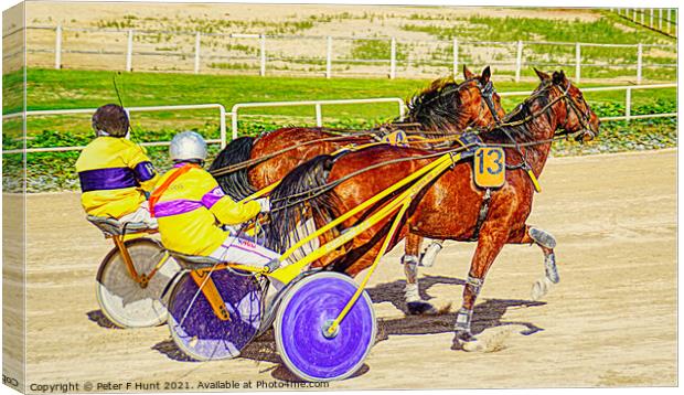 Warming Up For The Race Canvas Print by Peter F Hunt