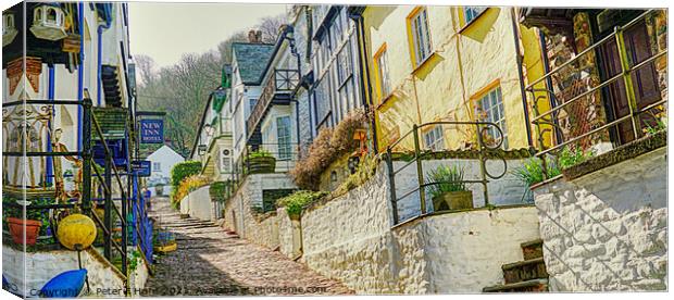 The Long Walk Up Canvas Print by Peter F Hunt