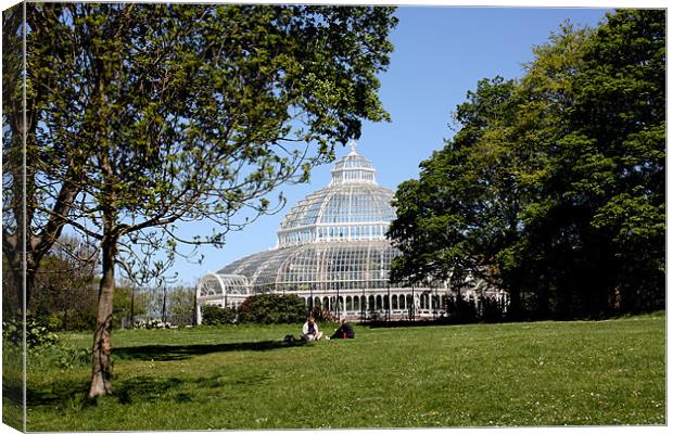 Palm House Canvas Print by phillip murphy