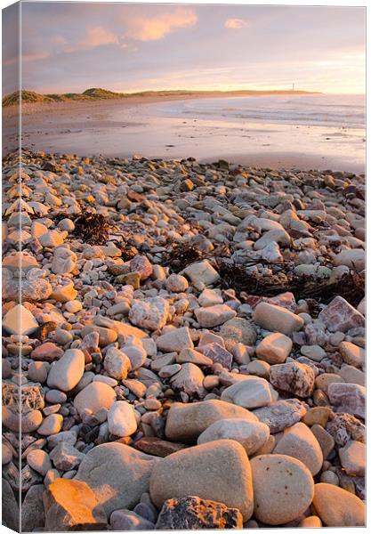 sunset on lossiemouth west beach Canvas Print by Lloyd Fudge