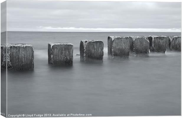 wave breakers in black and white Canvas Print by Lloyd Fudge