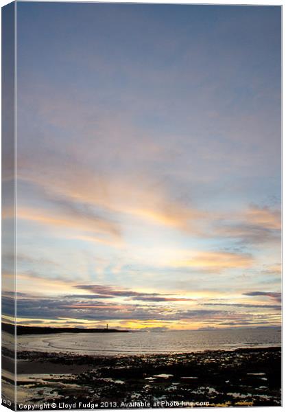 late evening over looking the moray forth Canvas Print by Lloyd Fudge