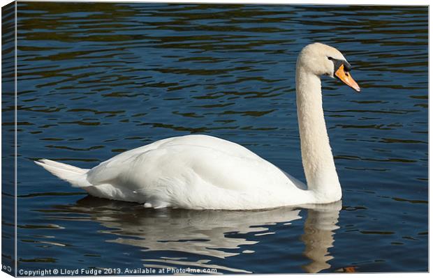 large swan on water Canvas Print by Lloyd Fudge