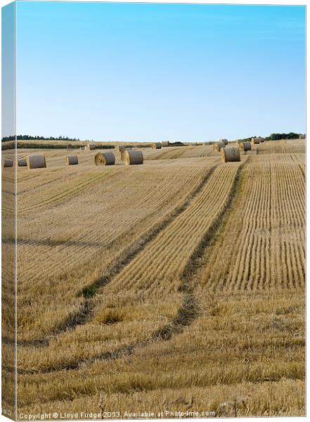Bailed hay in field Canvas Print by Lloyd Fudge